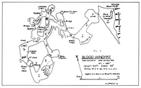 BCRA T3-2 Blood Windypit - NYM